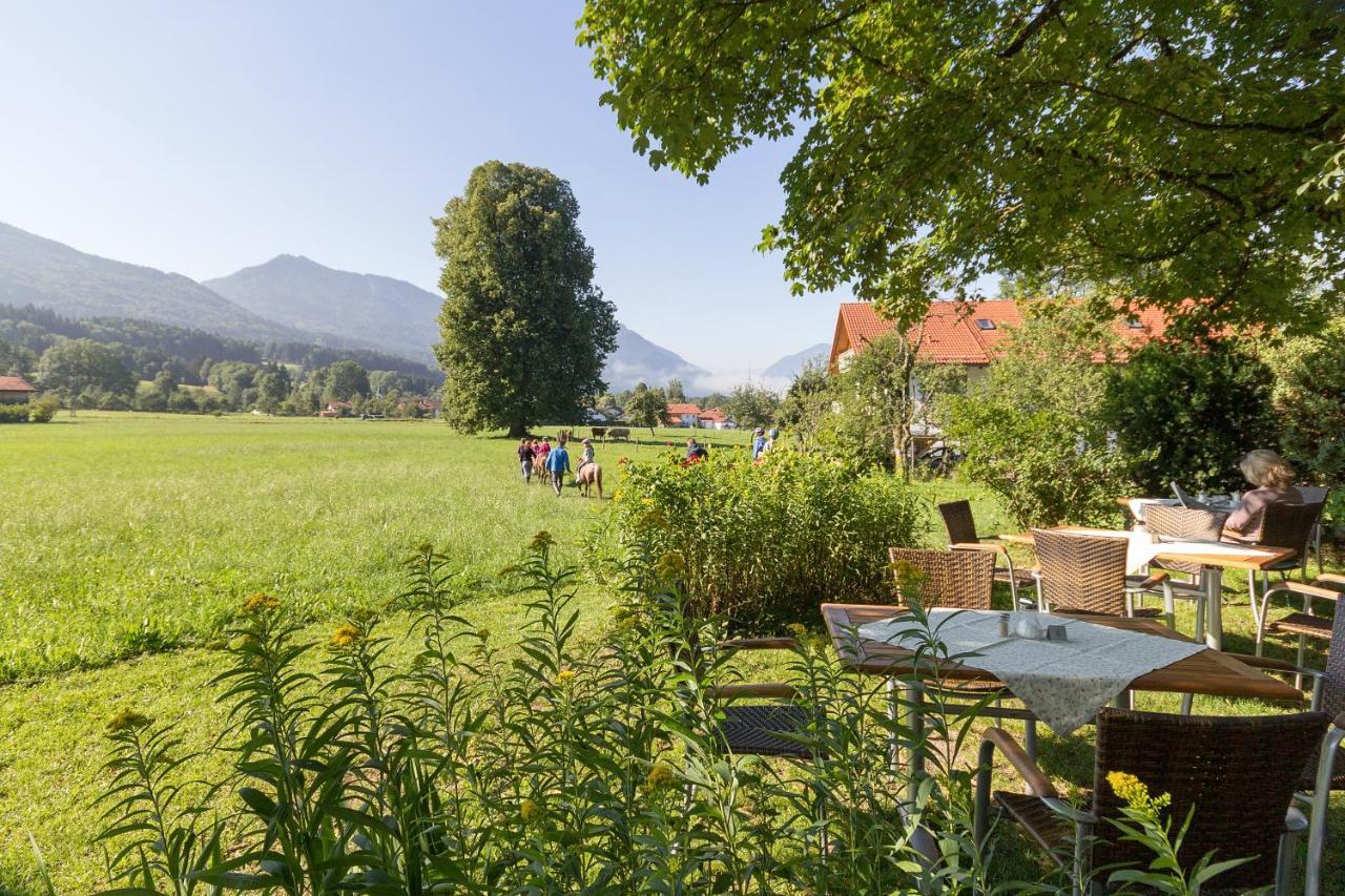 Landhotel Die Waldschaenke Kochel am See Dış mekan fotoğraf